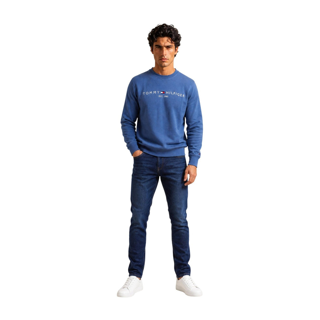 Tommy Hilfiger Men Sweatshirts
