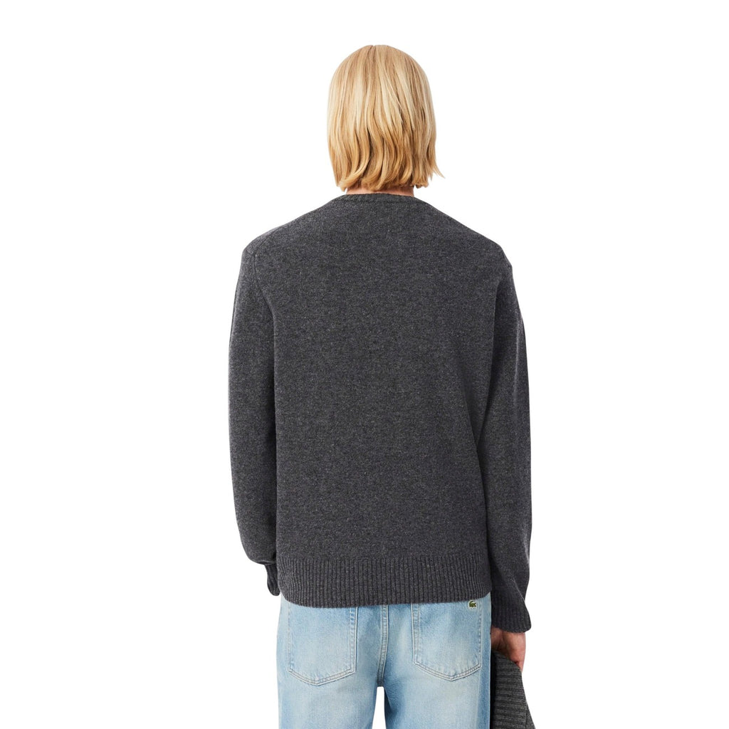 Lacoste Men Knitwear