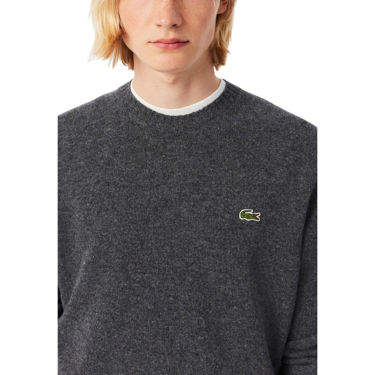 Lacoste Men Knitwear